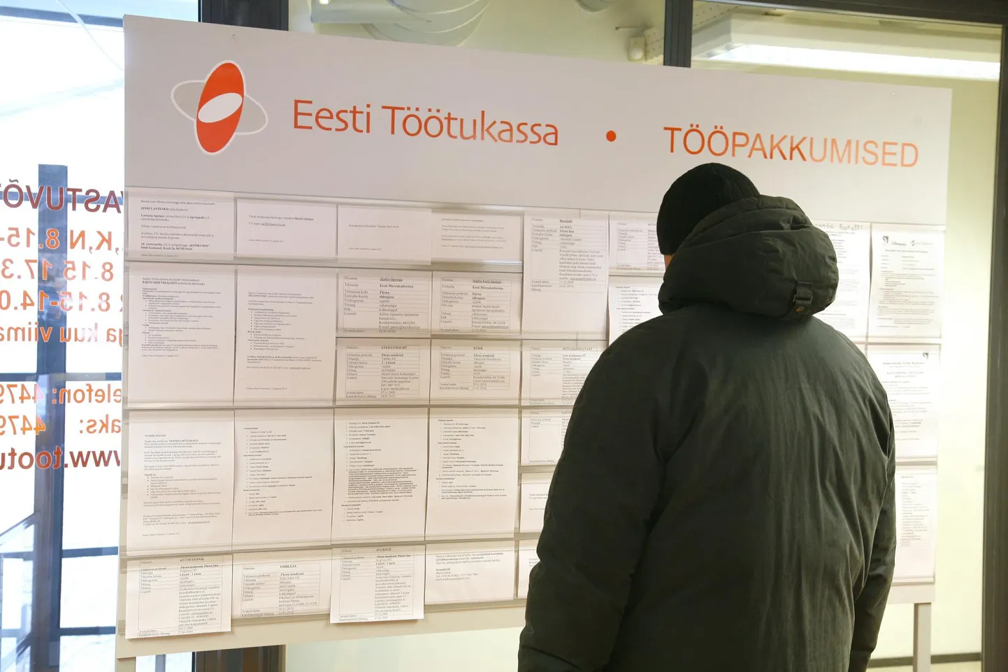 Näiteks 12 protsenti tööotsijatest kandideerib varasemaga võrreldes rohkematele töökohtadele.