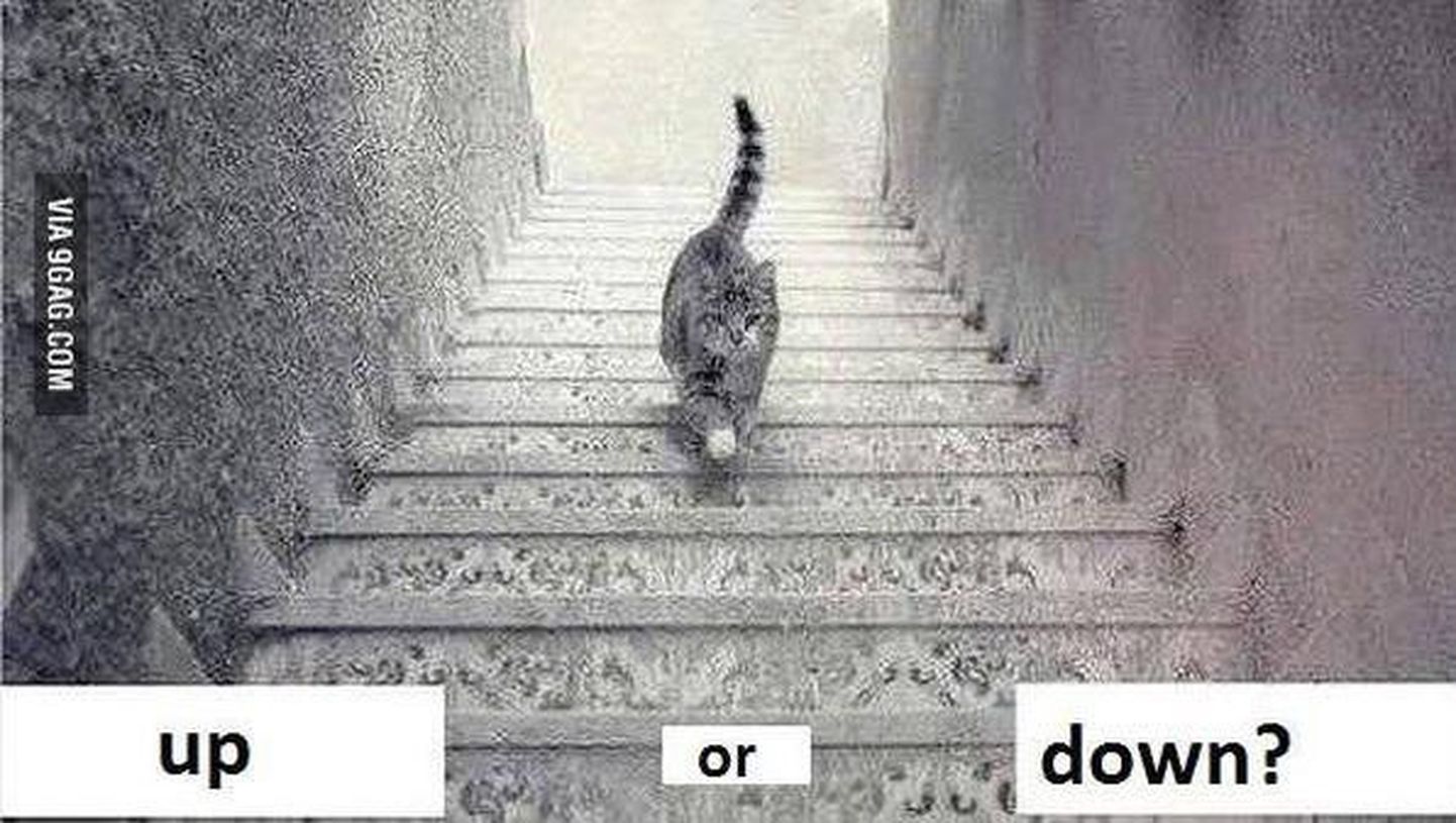 Kas kass liigub alla või üles?