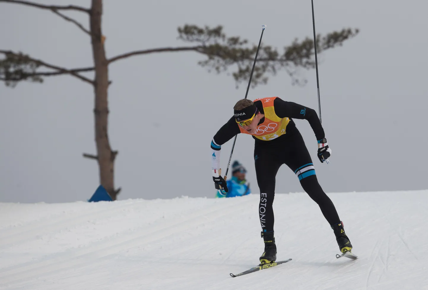 Karel Tammjärv