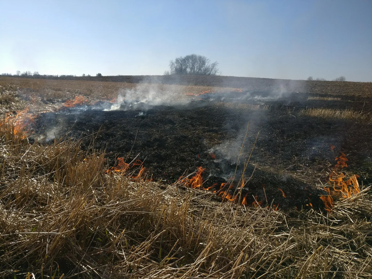 Kulupõleng Liigvallas