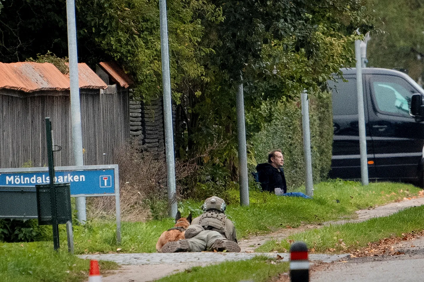 Raksta foto