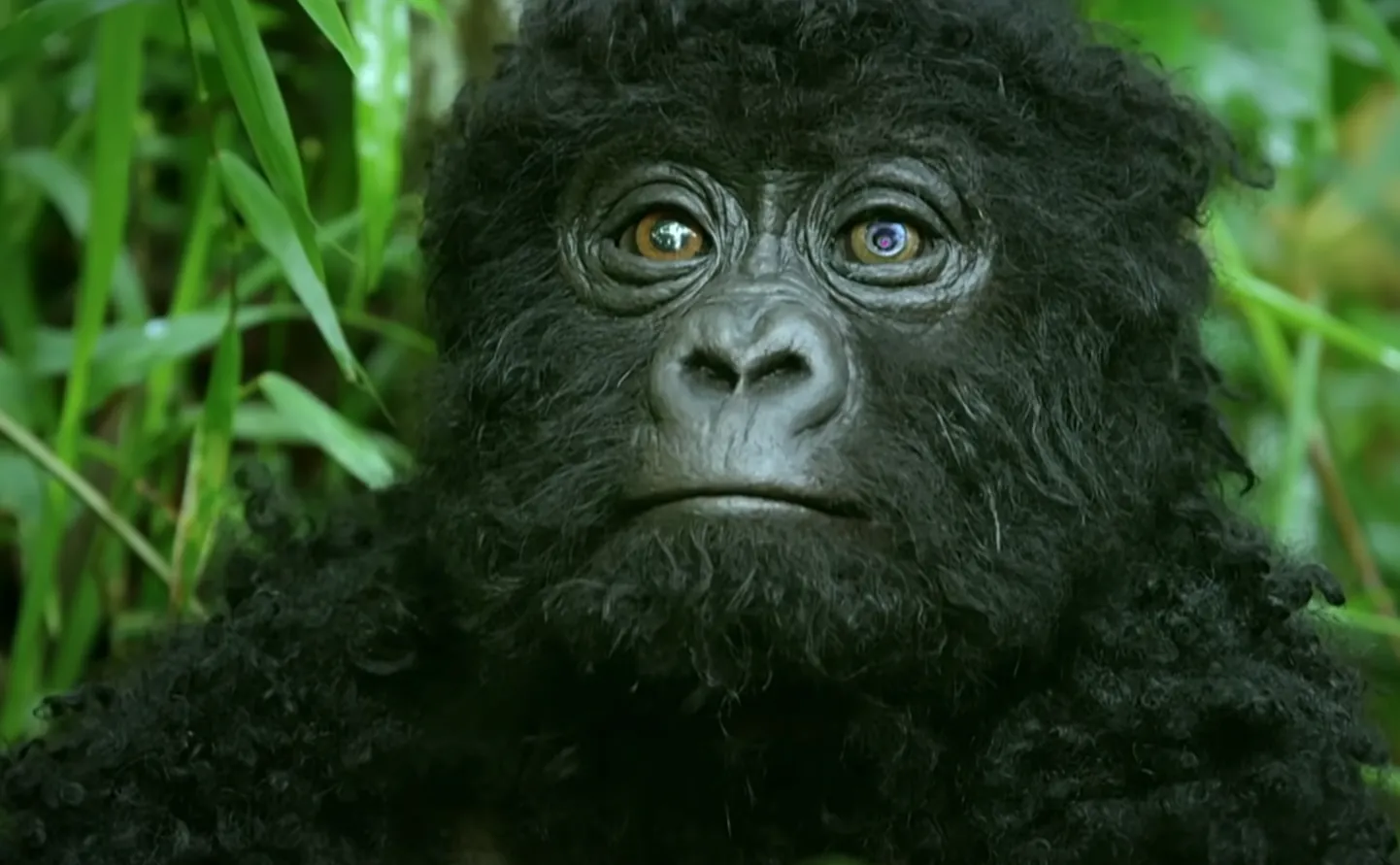 Robotgorilla.