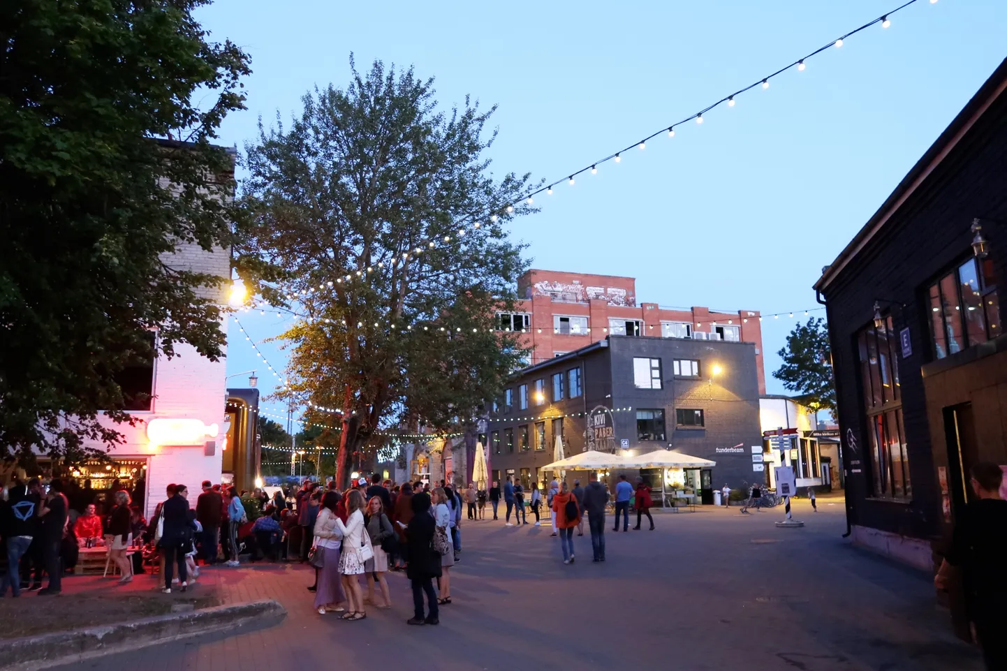 Tallinna linnavalitsus kaaluks alkoholimüügi piiramisel erandi tegemist näiteks Telliskivi loomelinnakule, kuid Eesti seaduste järgi peab kohalik omavalitsus oma territooriumil tegutsevaid ettevõtteid võrdselt kohtlema.