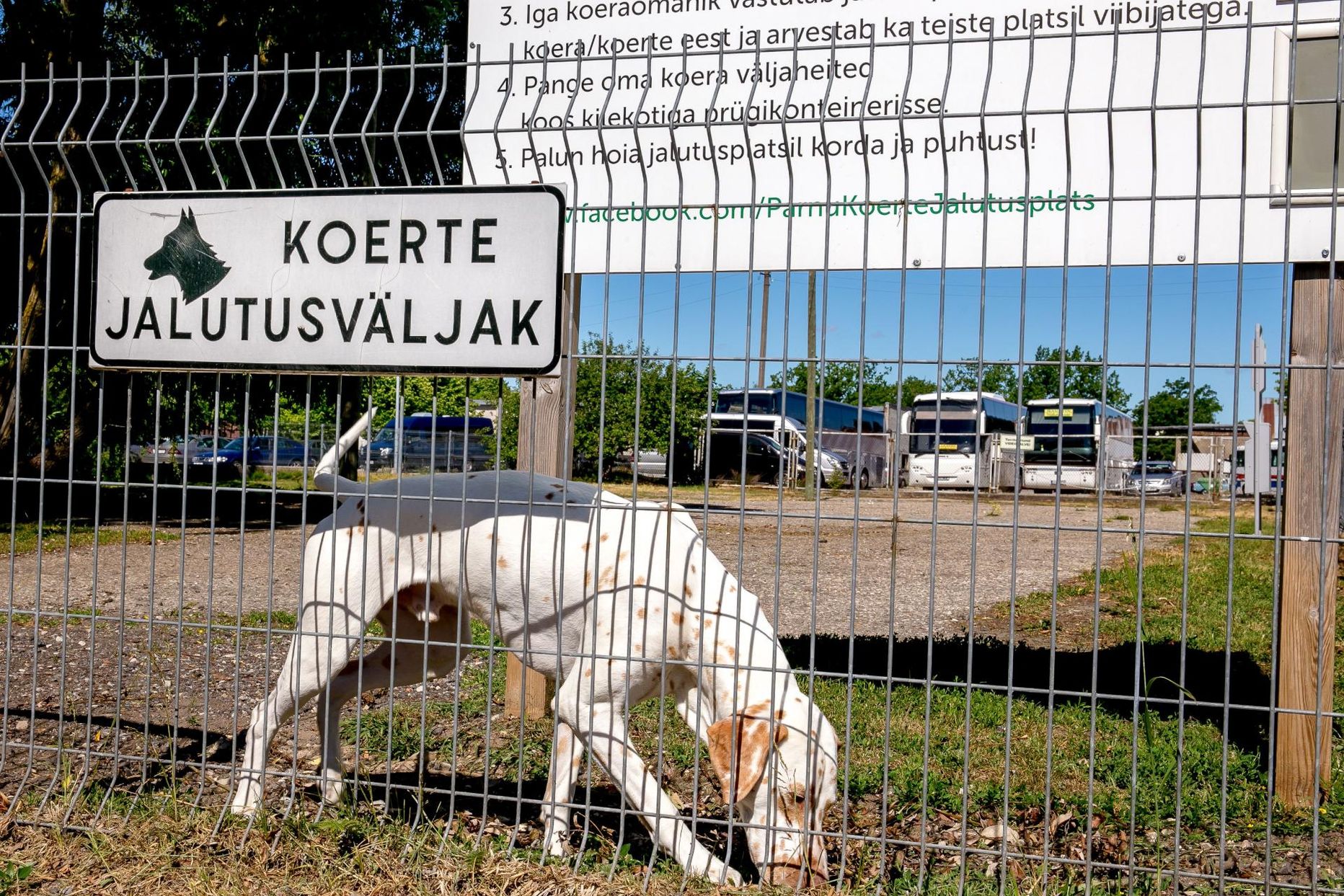 Kagumari hooldada jäävad Mai ja Reaküla piirkonna koerte jalutusväljakudki.