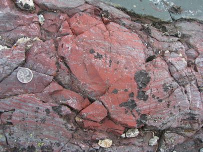 Kihiline punane hematiitne ränikivi, millest teadlased leidsid torujaid ja niitjaid mikrofossiile - märke iidsest elust.Pildi ülaosas nähtav tumeroheline jaspis on jäänuk omaaegsest merepõhja hüdrotermaalsest korstnast.