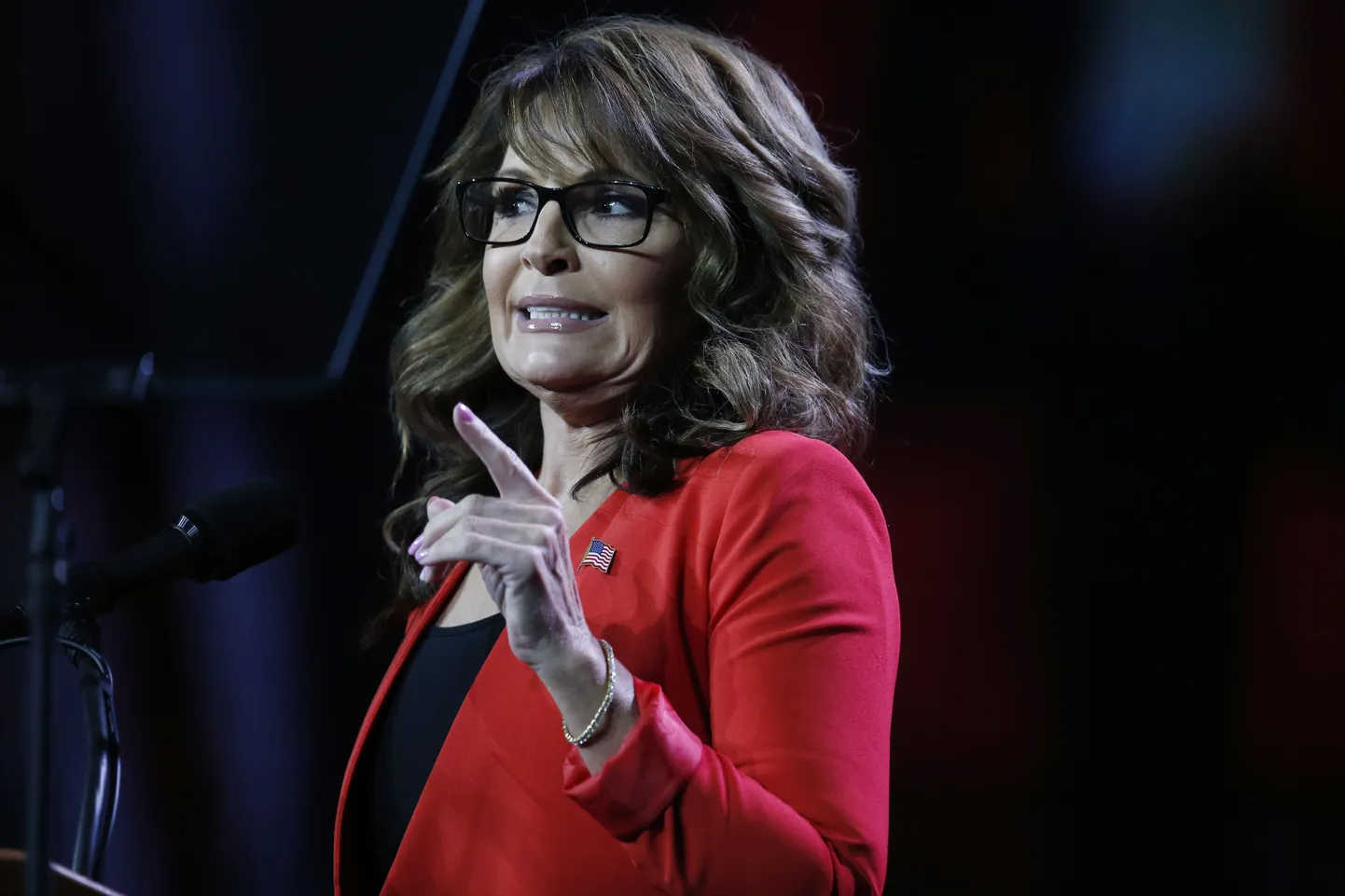 Sarah Palin