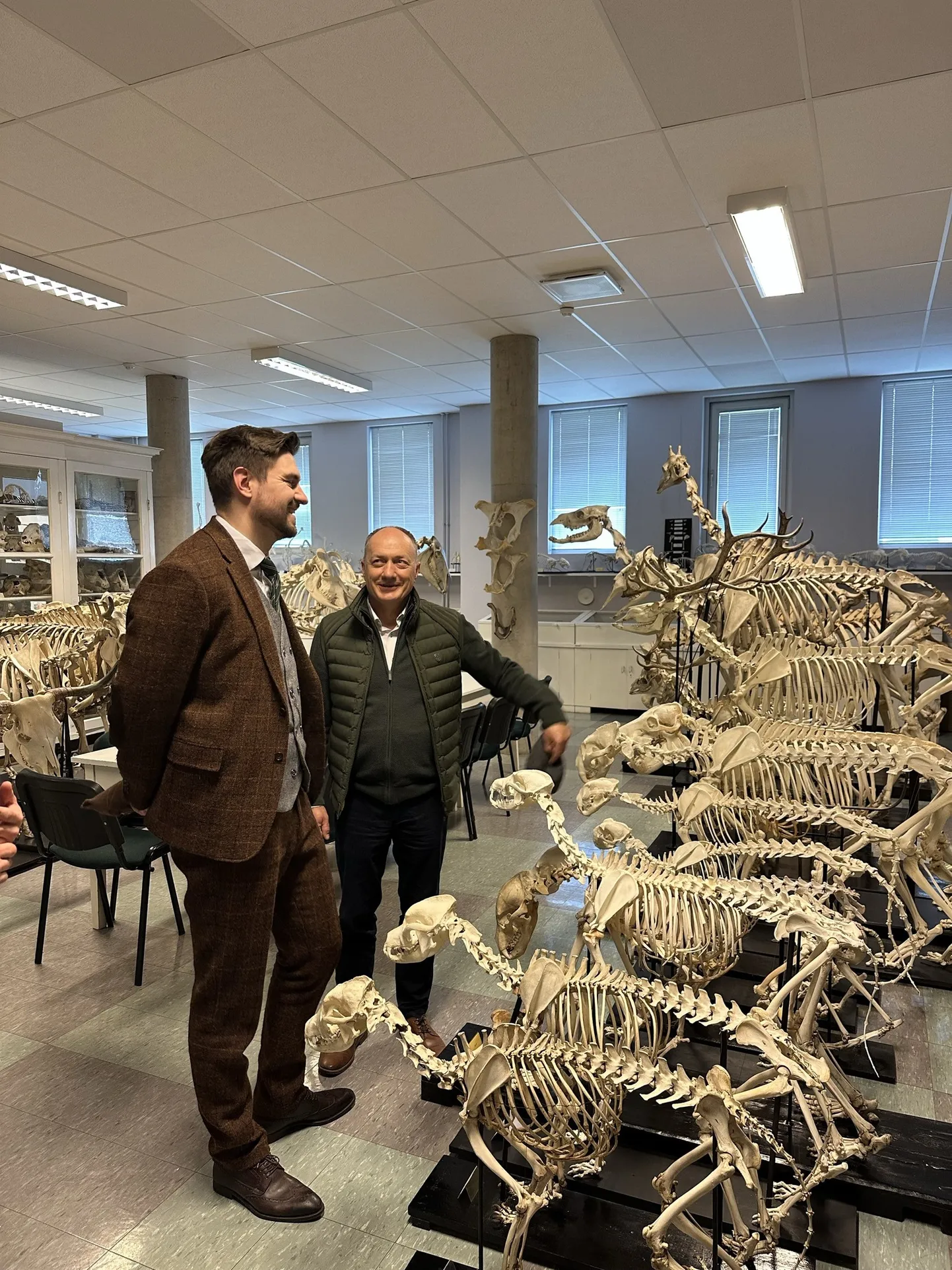 Maaülikooli loomakasvatuse instituudi direktor Toomas Tiirats tutvustas minister Hendrik Johennes Terrasele ülikooli anatoomiamuuseumi.