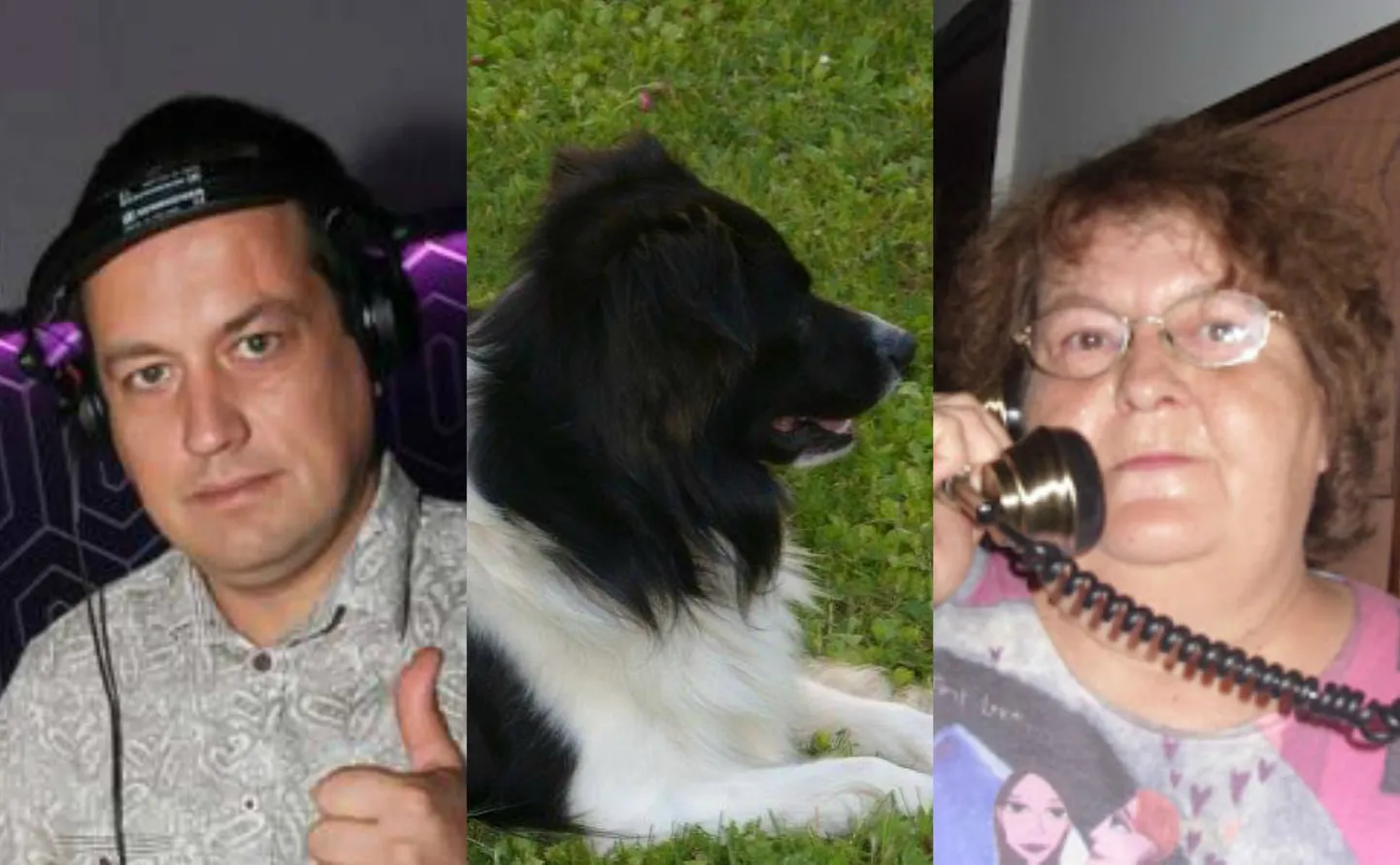 Kermo Hert: erakogu.
Koer Sipsik ja perenaine: Heiki Valner / heikivalner.blogspot.com.ee