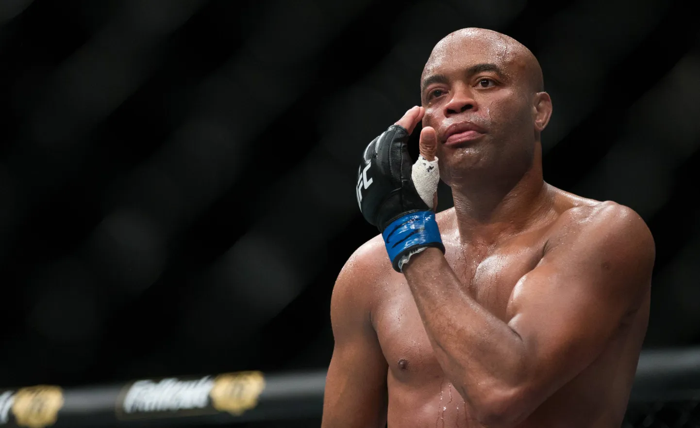 Anderson Silva.