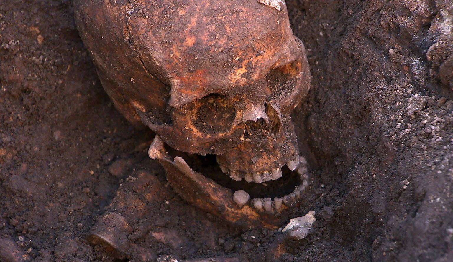 Richard III skelett