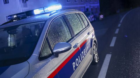 Viinis tapeti kahes eri juhtumis kokku neli naist ja 13-aastane tüdruk