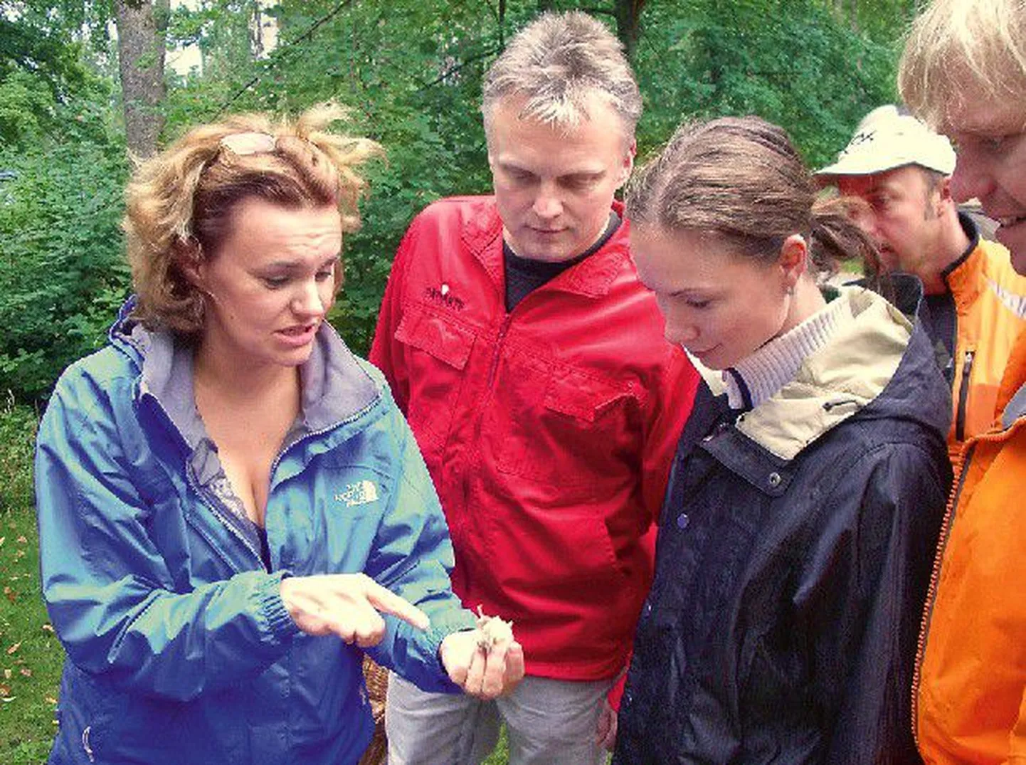 Õpetaja ja õpilased: Margit Hakomaa näpunäidete järgi õpivad algajad seenelised, teiste seas ka Pädaste mõisa üks omanik Imre Sooäär, kuidas seenehabeme järgi kaseriisikat ära tunda.