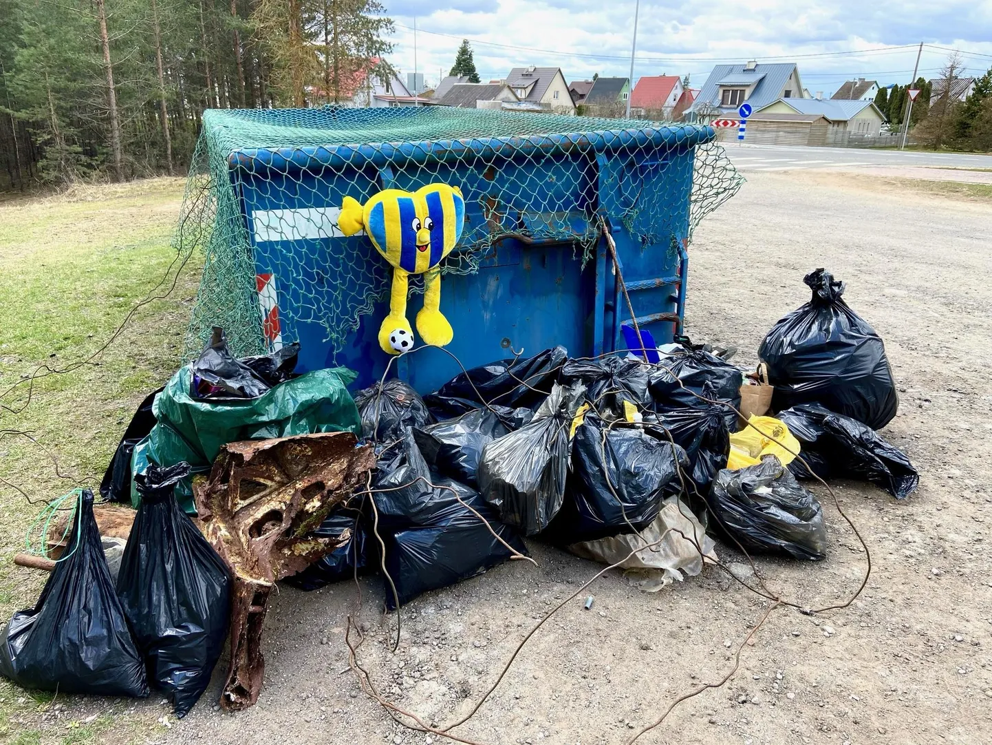 Metsast toodi välja umbes kümne 60-liitrise prügikoti jagu pahna.