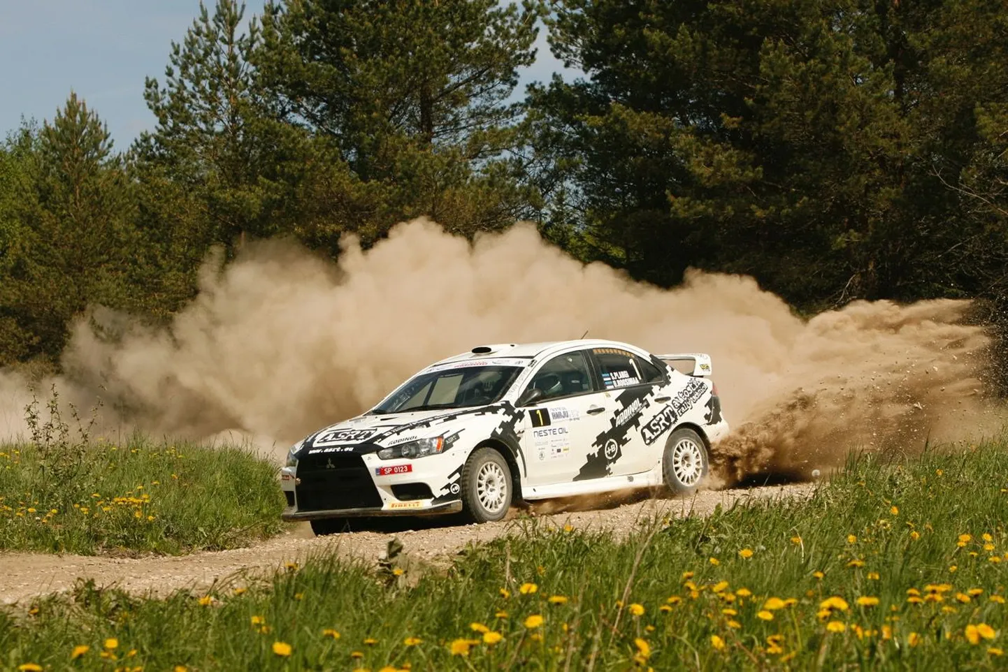Harju ralli 2015 võitja Siim Plangi