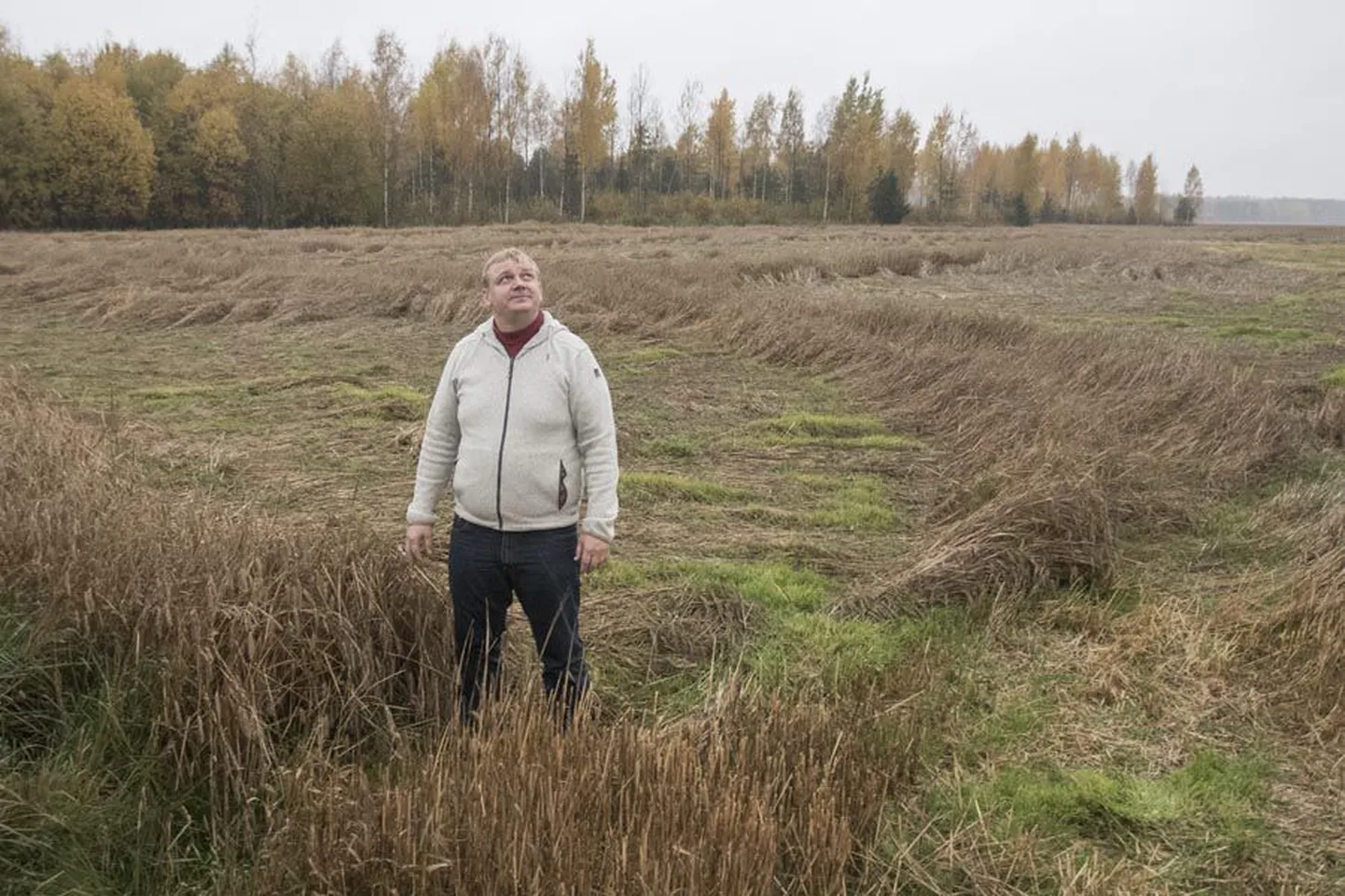 Osaühingu Suislepa Vili omanik Enno Feldveber on tänavu pidanud trotsima väga märga ilma. Selle rukkipõllu esitas ta viljelusvõistlusele ning saak oligi vägev, ent nüüd läheb see hoopis sissekündmisele.