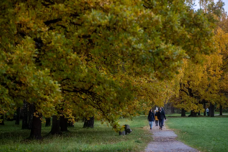 Осень в парке Кадриорг.