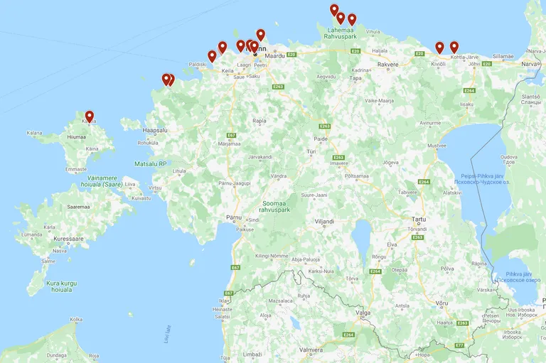 Positiivsed leiud veelindudel 12. märtsi seisuga.