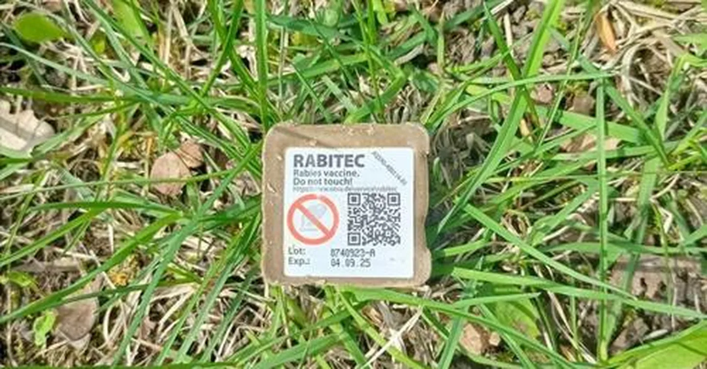 Приманка для диких животных с вакциной от бешенства.