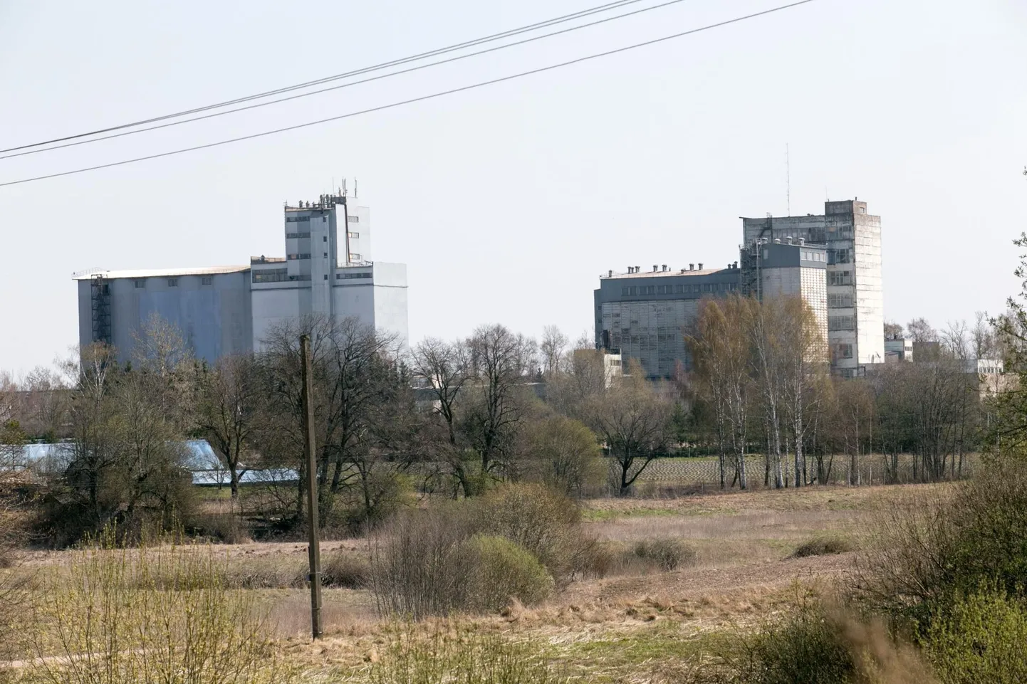 Aktsiaselts Scandagra Eesti oli teises kvartalis Viljandimaa suurima käibega ettevõte ja tasus ka enim riigimakse.