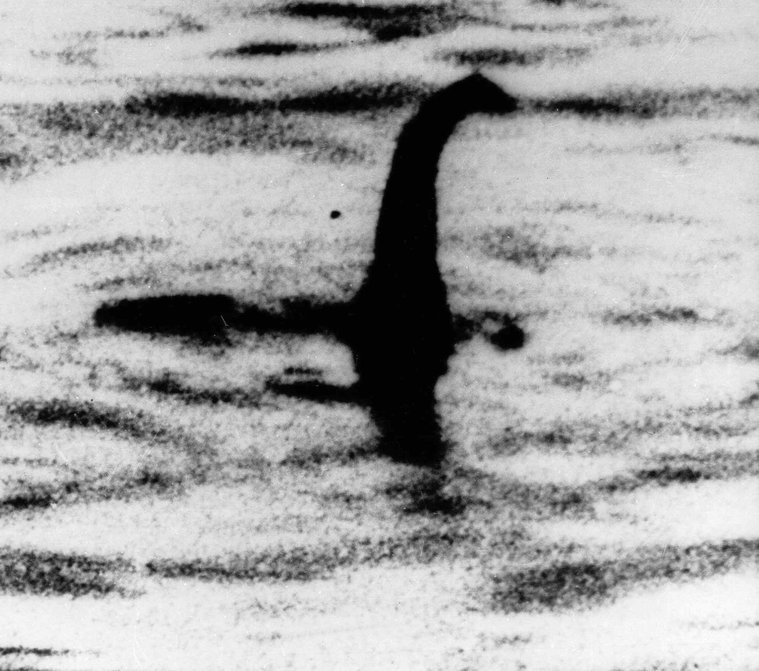1930. aastatel tehtud mustvalge foto, millel on väidetavalt Loch Nessi koletis