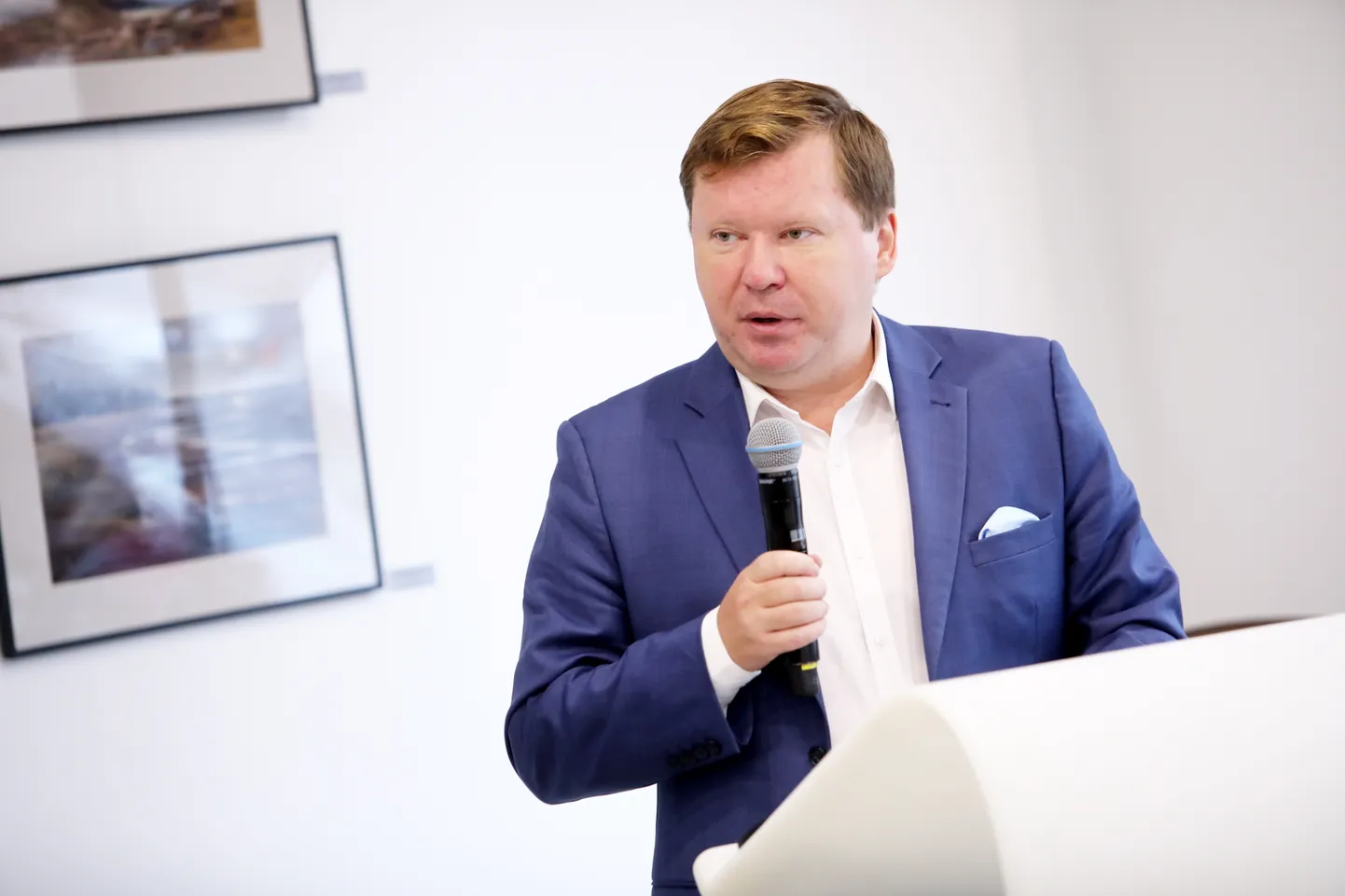 Rīgas Ekonomikas augstskolas profesors Arnis Sauka