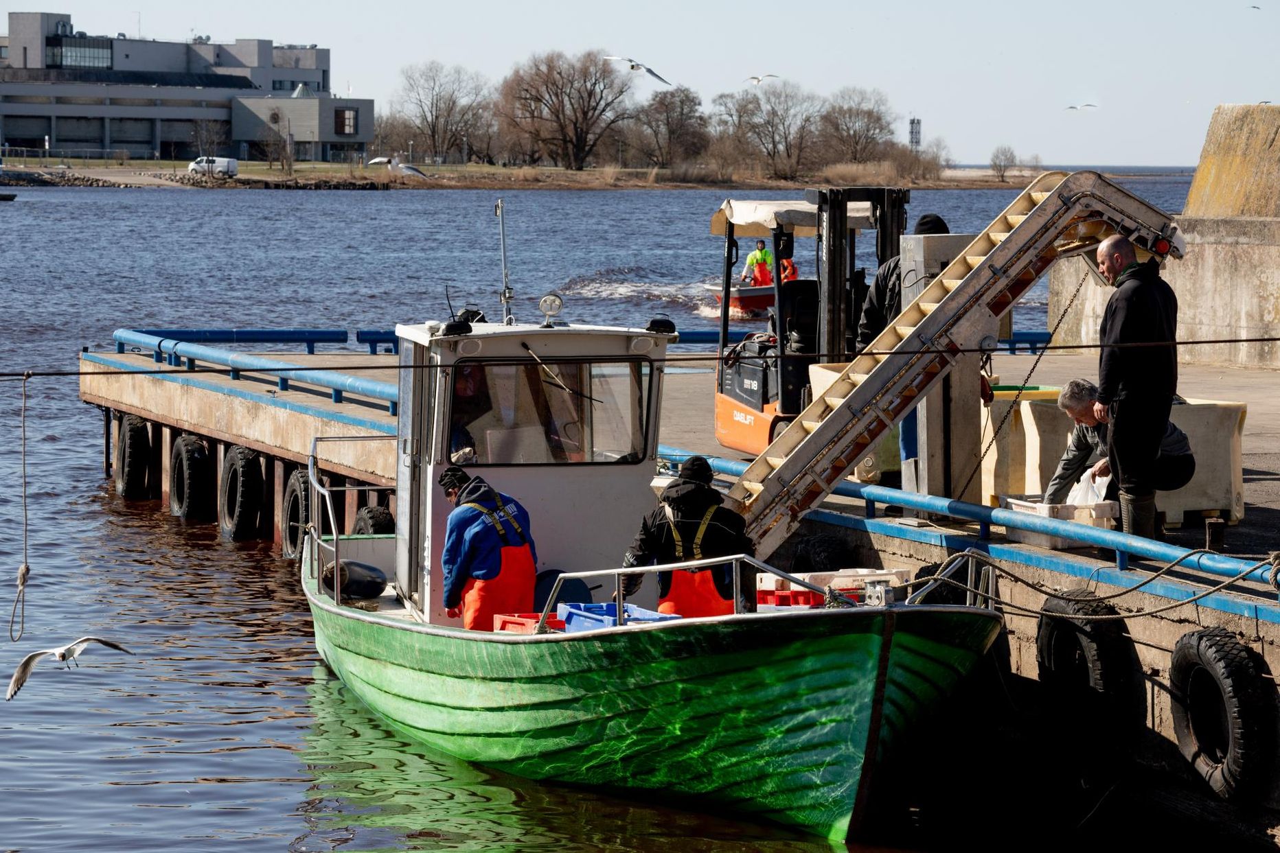 „Kala tuleb normaalselt, nagu eelmiselgi kevadel,” ütlevad Pärnus Japsi sadamas hommikuse meritindilastiga kai äärde jõudnud kalurid.