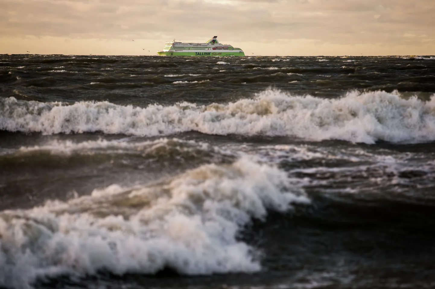 Laev teel Tallinnast Helsingi poole. pilt on illustratiivne.