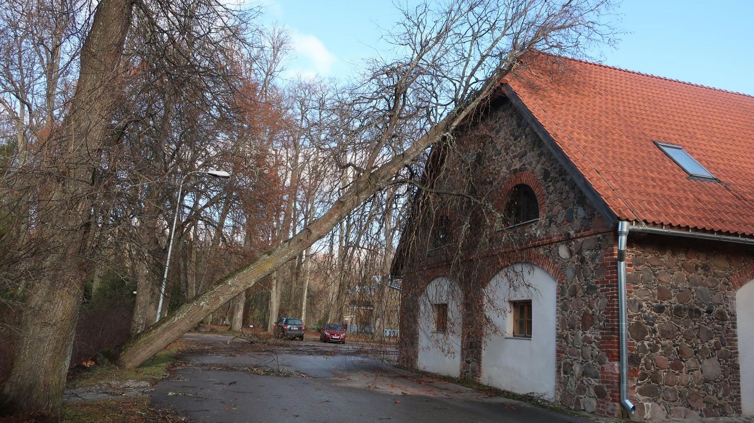 Hullemast päästis hoone asjaolu, et pärn ei kukkunud, vaid vajus katusele.