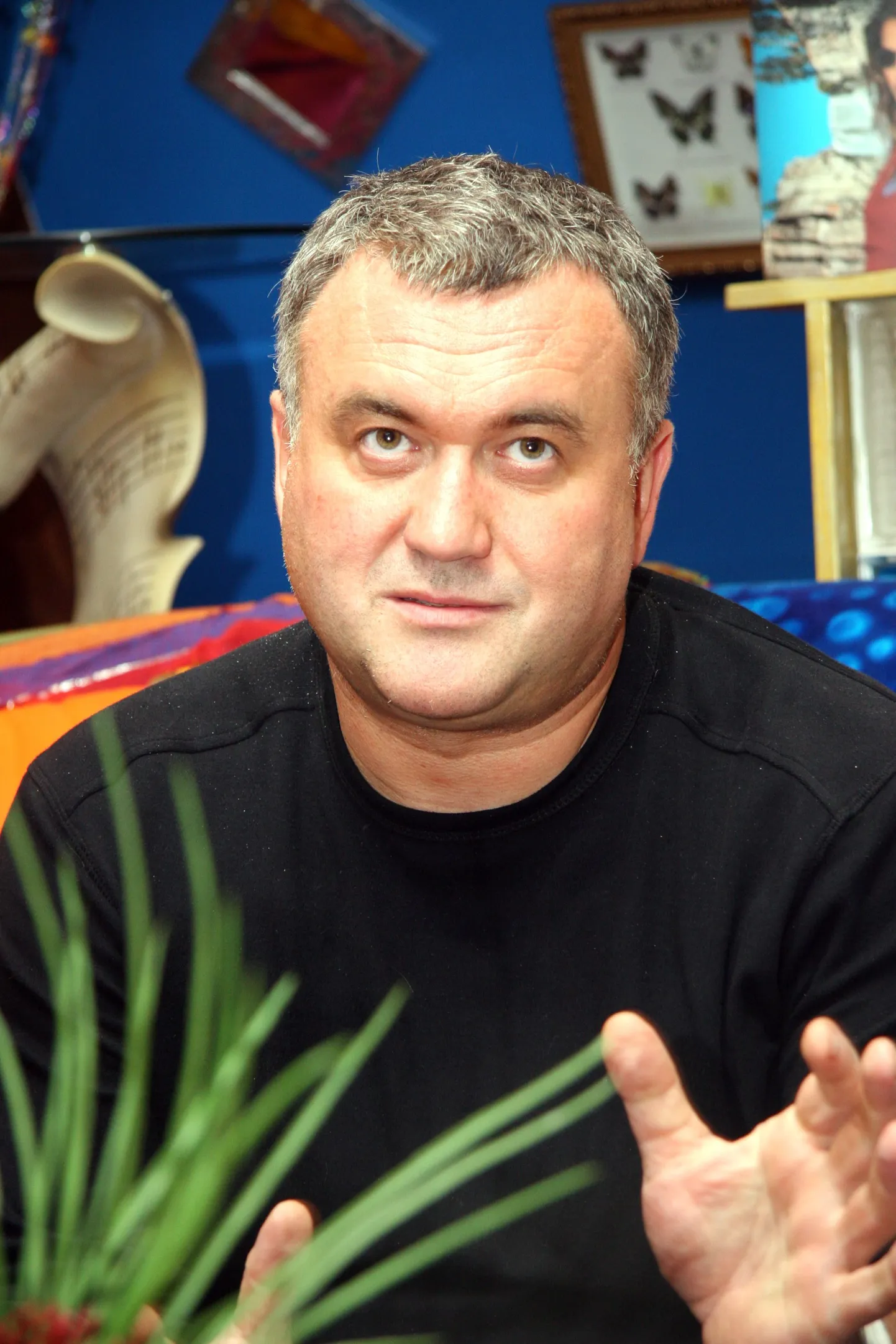 Raksta foto