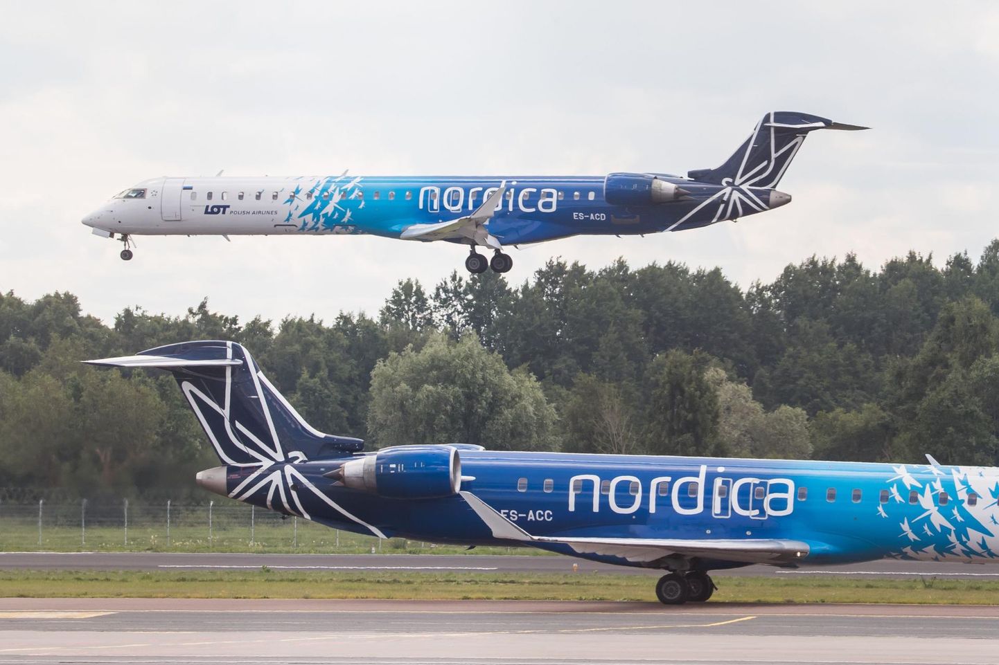 Nordica airplanes.