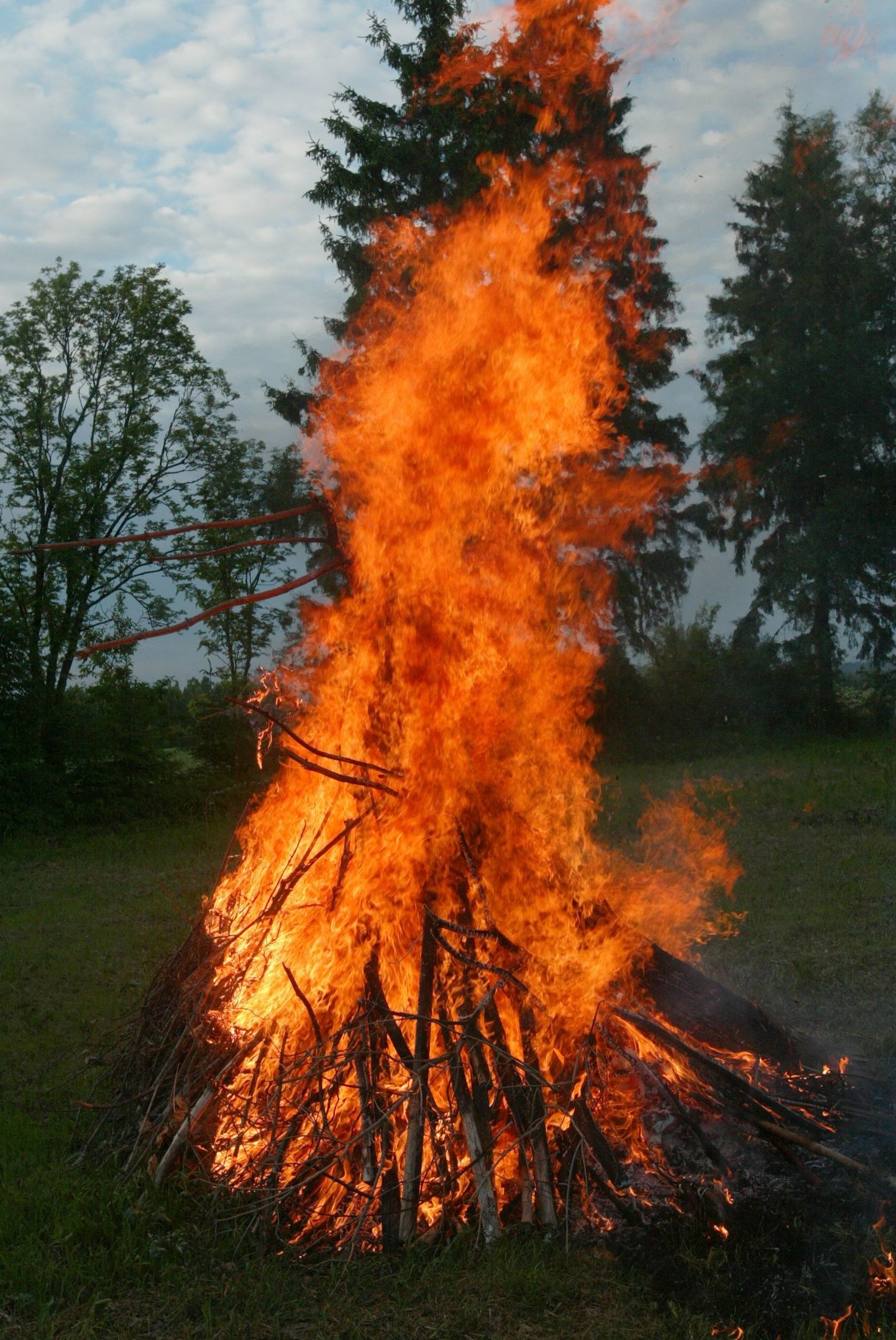 Lõkkematerjali kuhjas võib olla siilipesa. Lõkkeräsi enne süütamist ümber tõstes võib pääsata sadu siile tulesurmast.