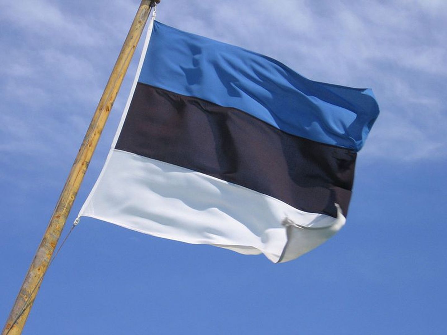 Eesti lipud heisatakse kõigile elu-, äri- ja büroohoonetele.