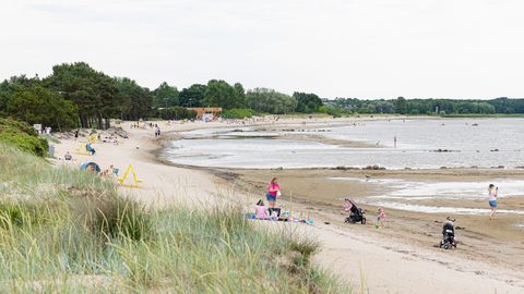 Estonia to see up to 24 degrees Celsius with scattered showers
