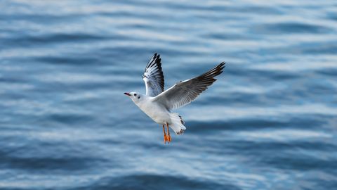 Lielajā piektdienā gaiss Latvijā iesils līdz +14 grādiem