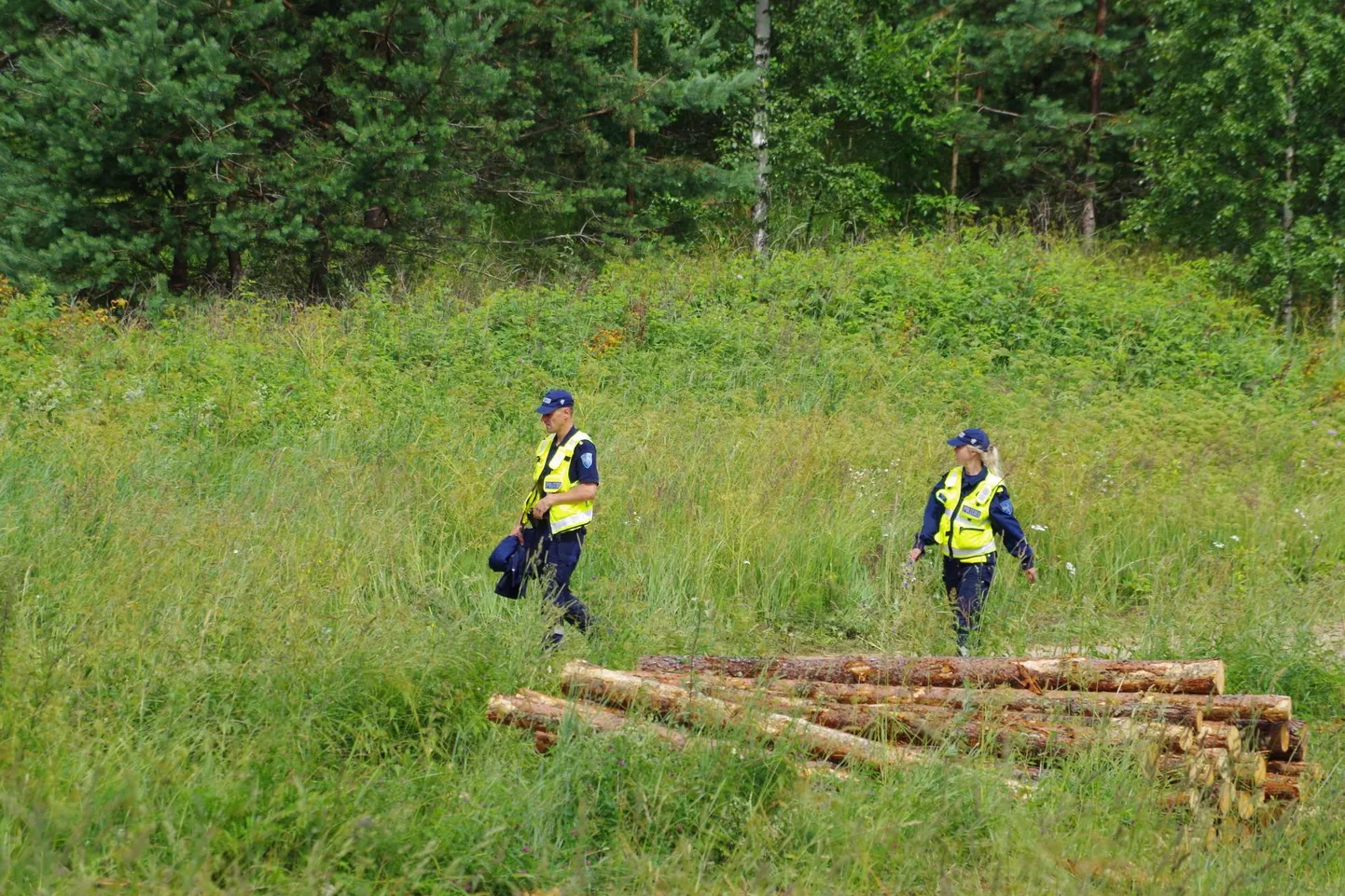 Politseinikud aitasid pühapäeval otsida metsa kadunud naist ning mõne tunniga oli too leitud. Foto on illustreeriv.