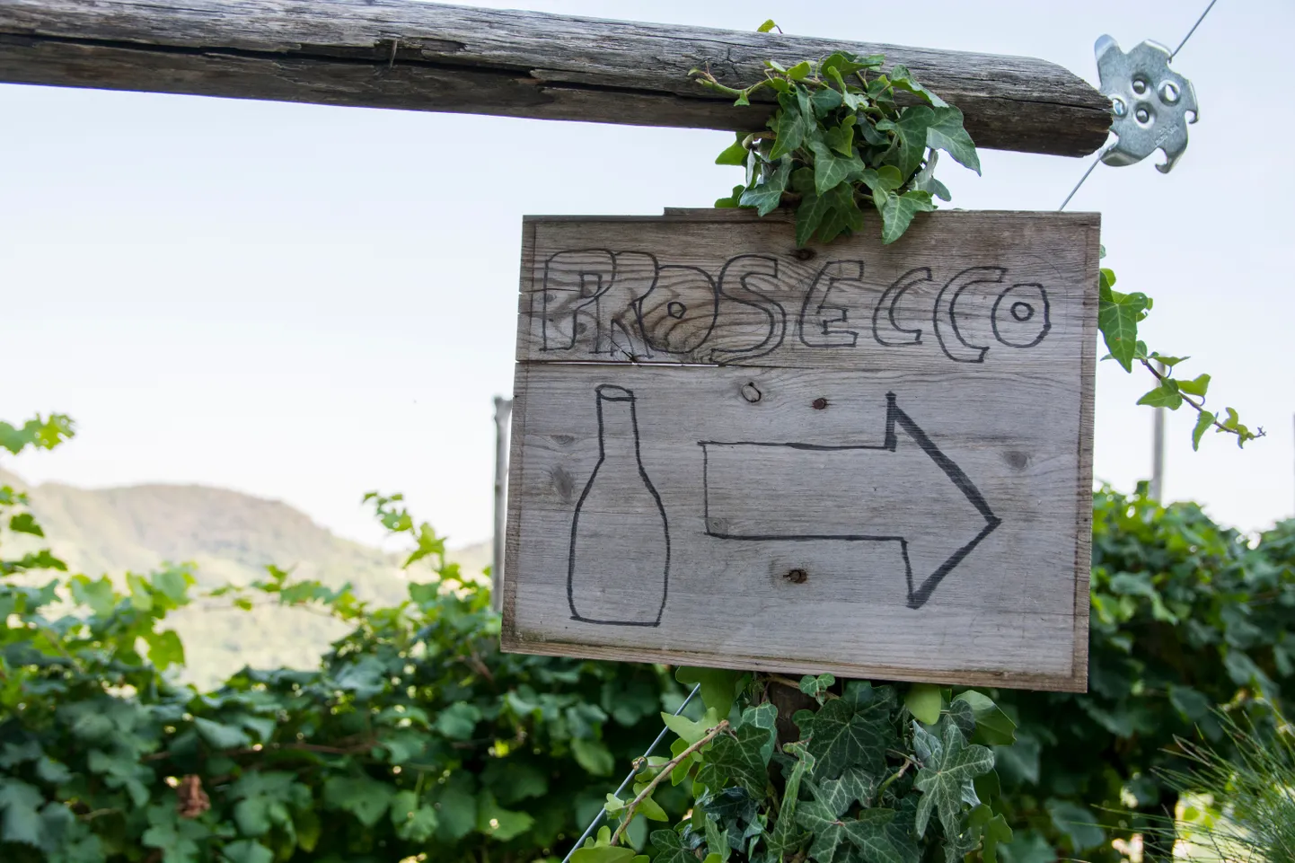 Dzirkstošais vīns - prosecco. Ilustratīvs attēls.