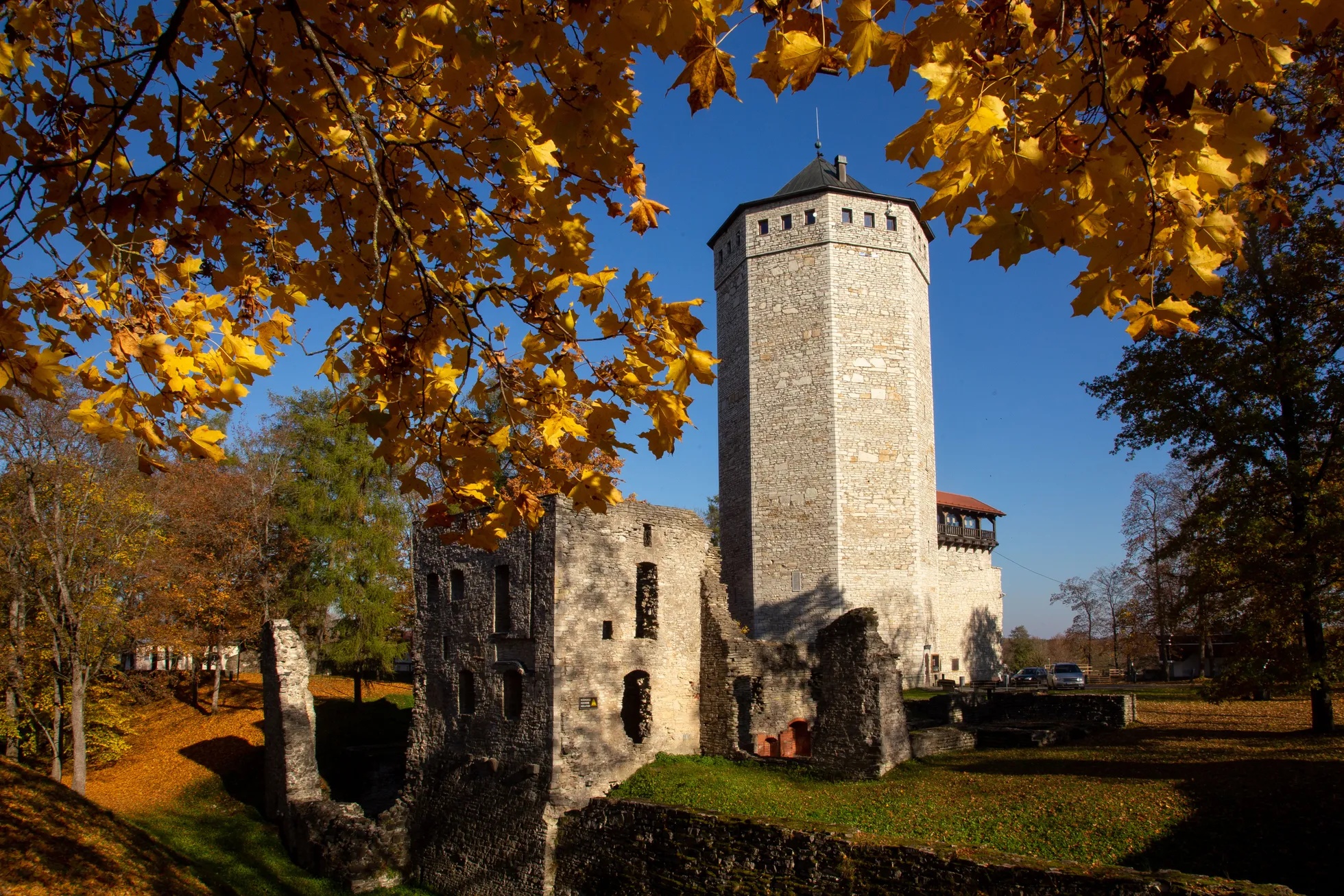 Фото статьи