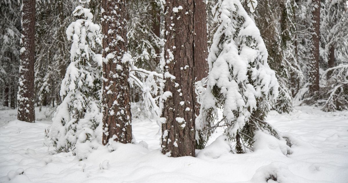 Saaremaal teisipäeval kadunuks jäänud mees leiti surnuna