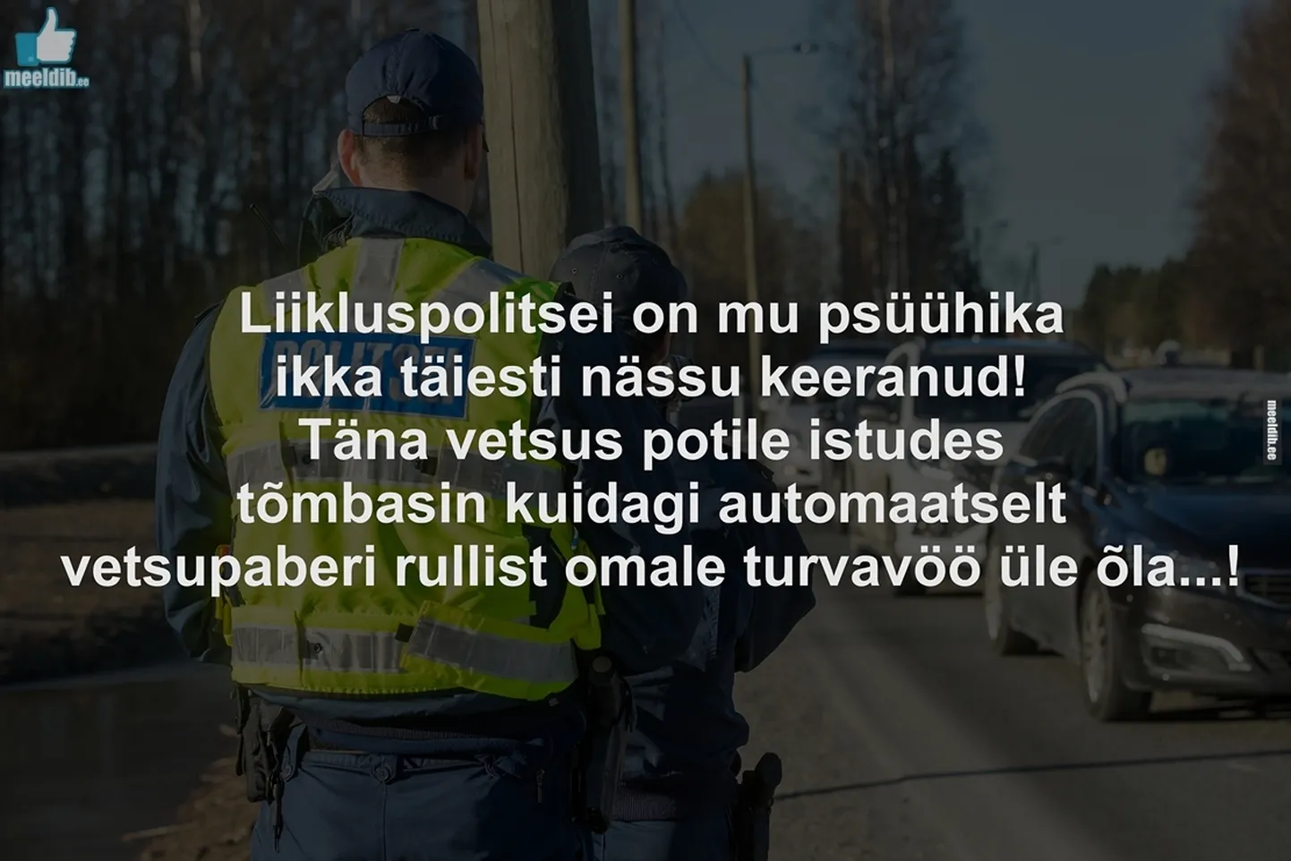 Artikli foto