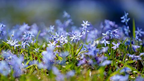 В среду ожидается более солнечная погода