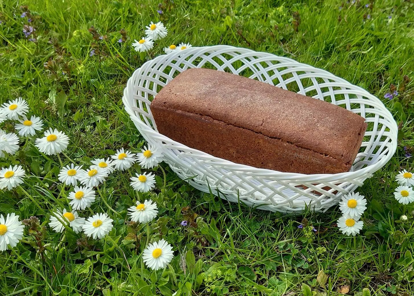 Kodune isetehtud leib maitseb sama hästi kui poe oma.