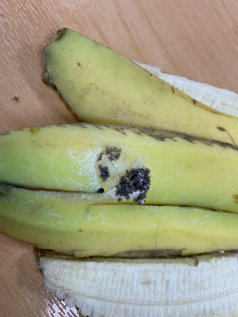 Banaanikobara vahel peitus pesakond ämblikke.