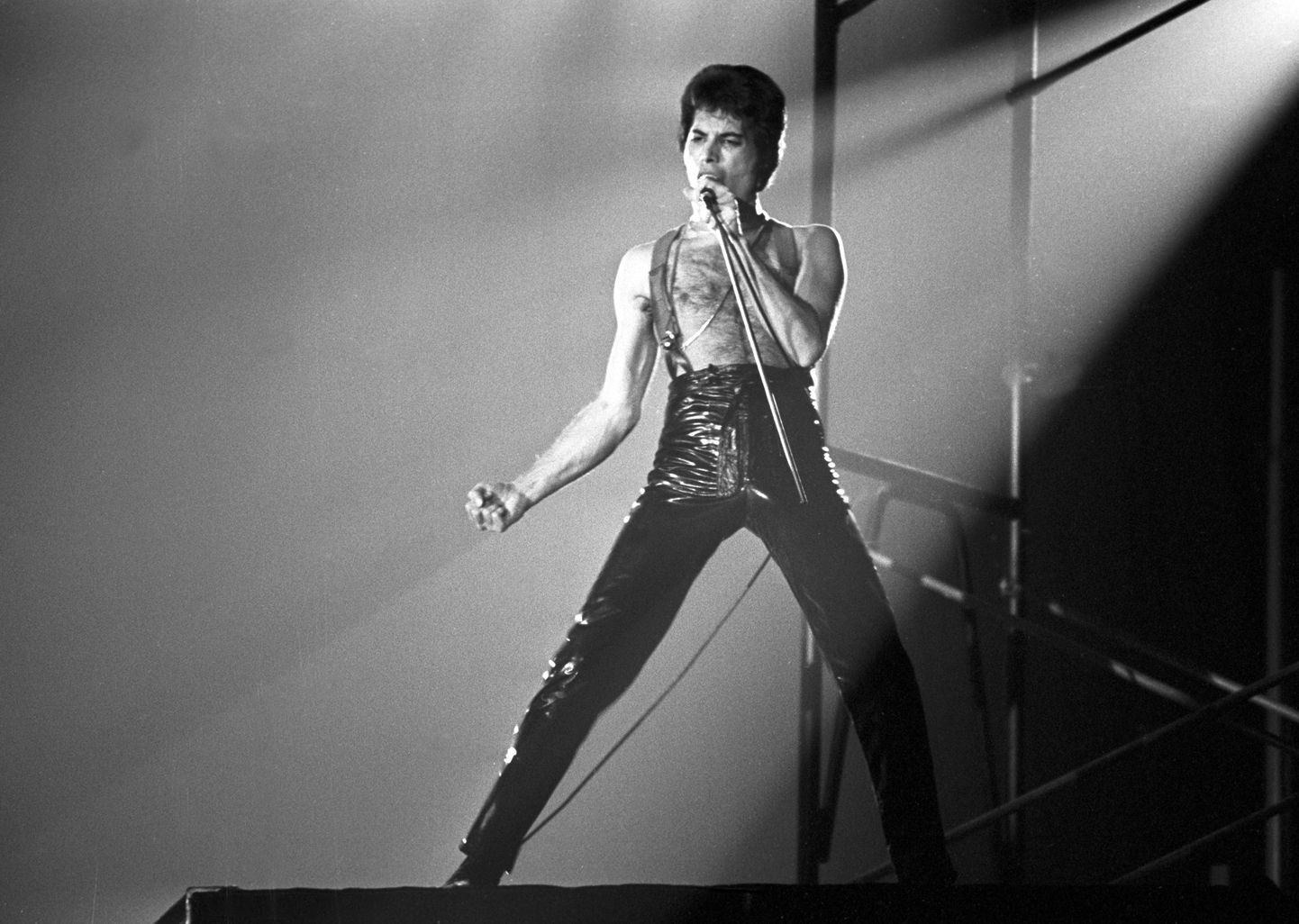Freddie Mercury 1979. aastal