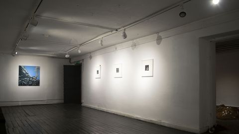 Estonian Gallery Exhibition 'Continuing Bonds' Explores Grief Through Art