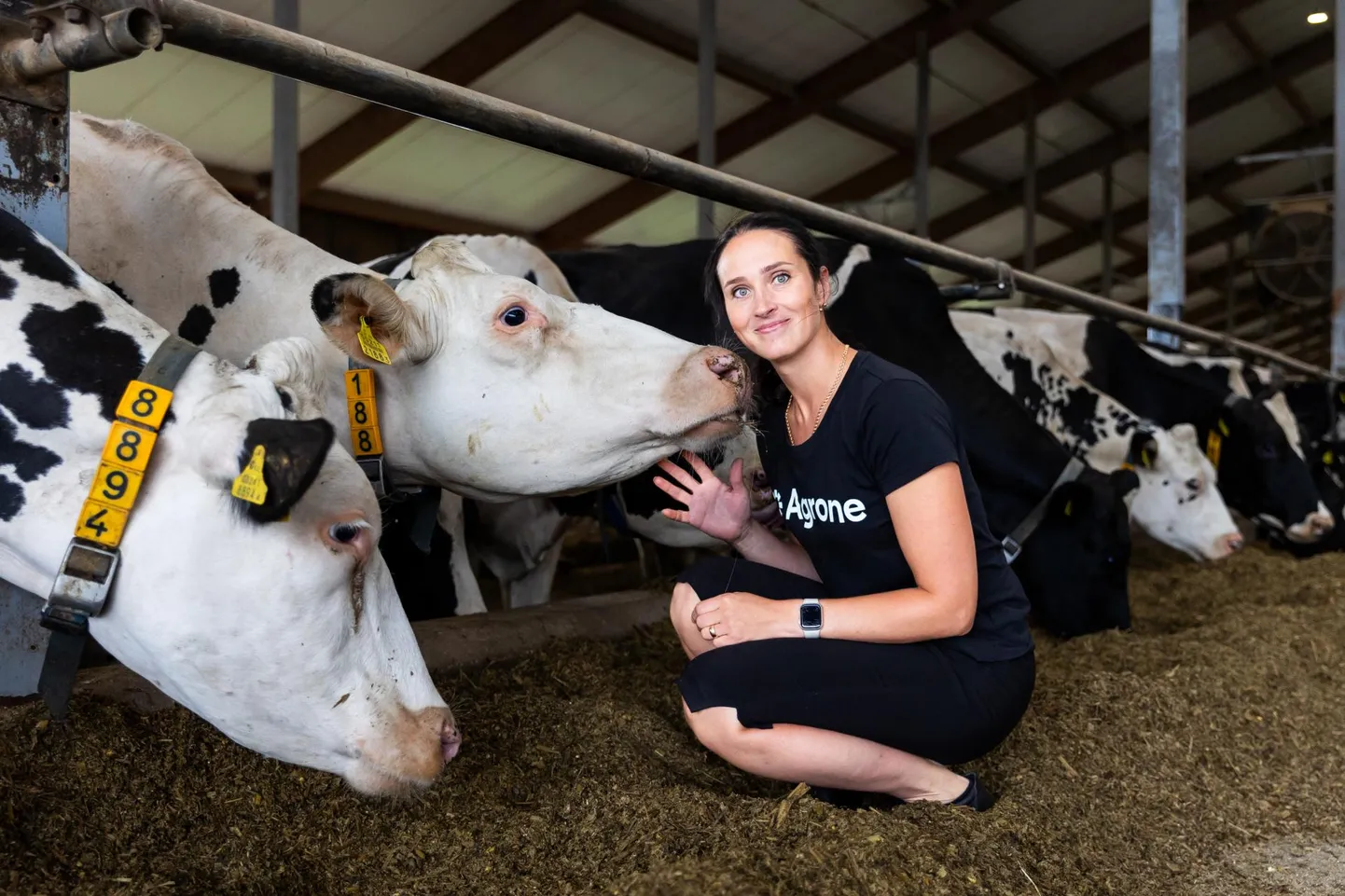 Hummuli Agro tegevjuhi ja mullu parimaks Eesti piimakarjakasvatajaks valitud Maarja Paomehe sõnul peab lehmadega suhtlema malbe häälega, et nad ei ehmuks.