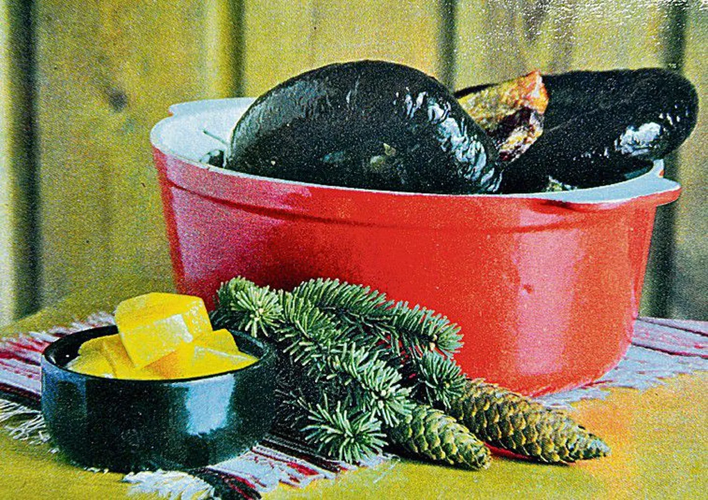 Artikli foto