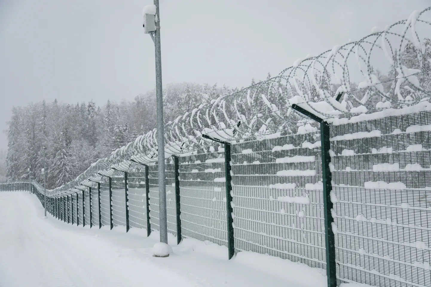 Estonia-Russia border. Illustrative image. — Photo: Mihkel Maripuu / Postimees.
