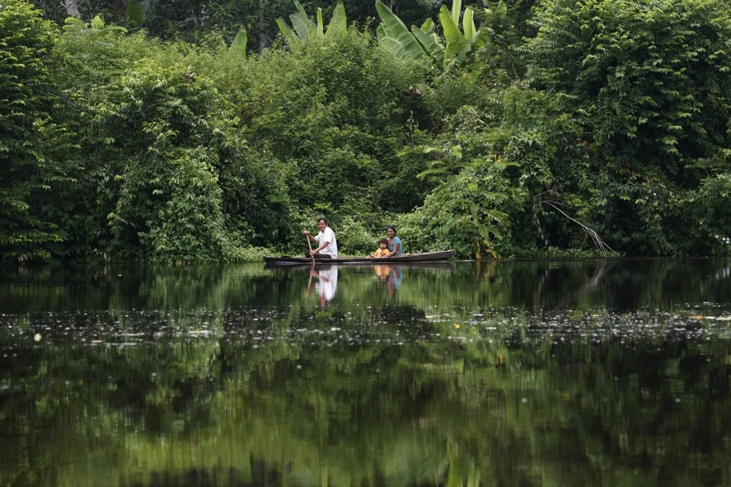 Amazonas. Foto on illustratiivne