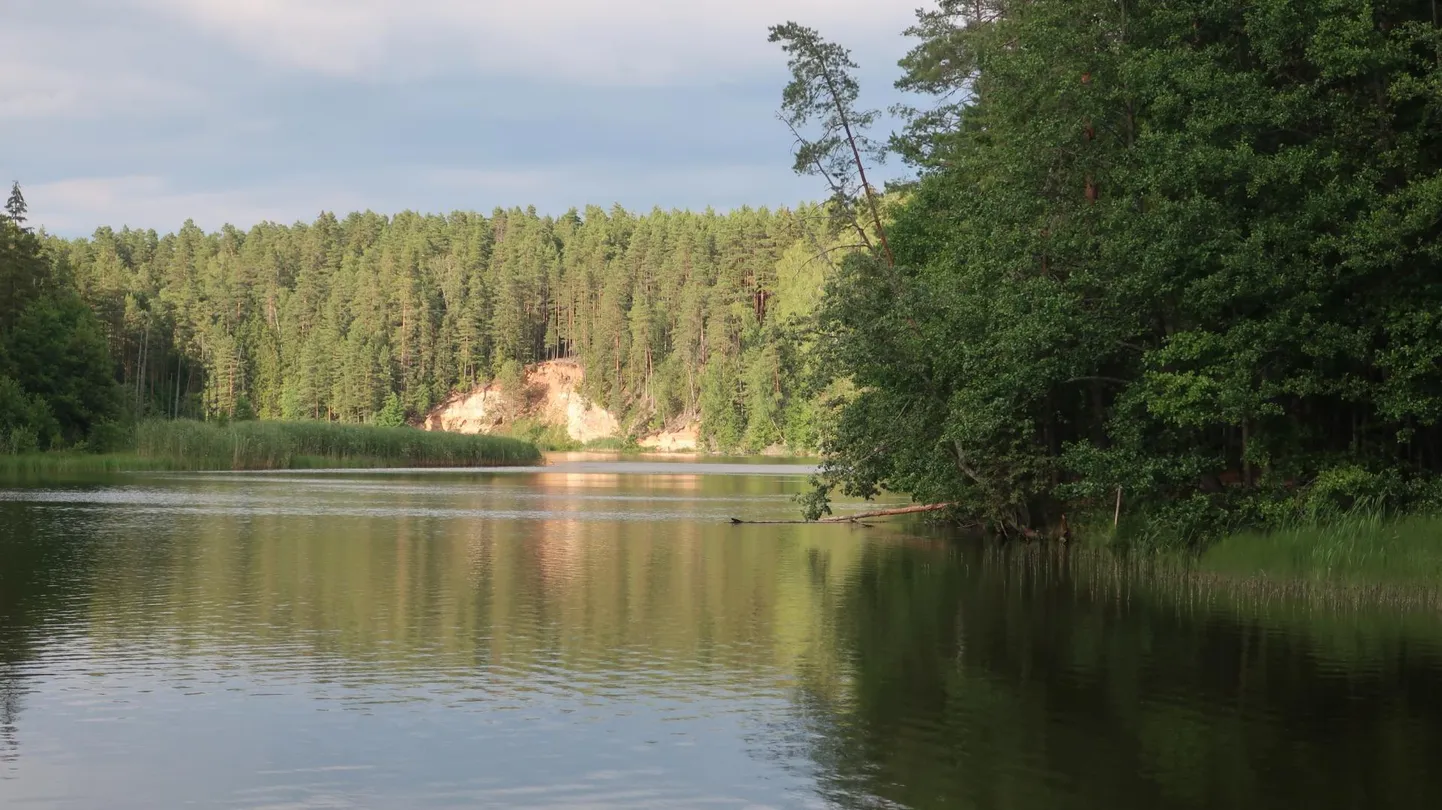 Saesaare paisjärv