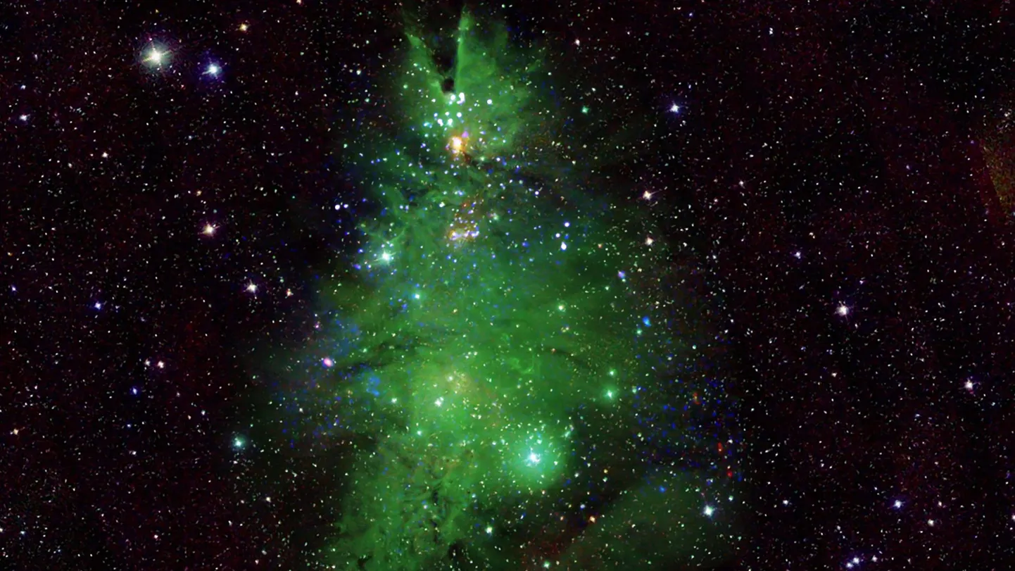 Звездное скопление из кластера NGC 2264.